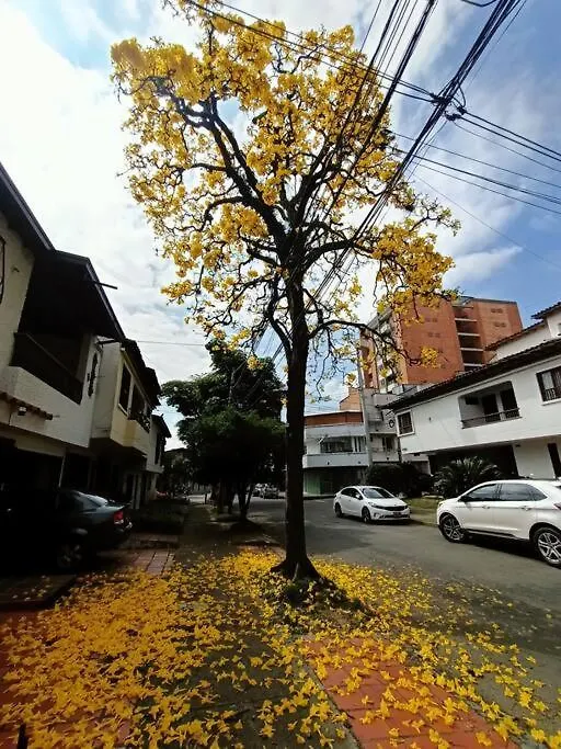 Apartamento Independiente Con Terraza En Belen Cerca A Laureles Medellin Apartment